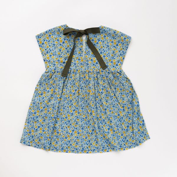 Picnic Dress in Prairie Garden