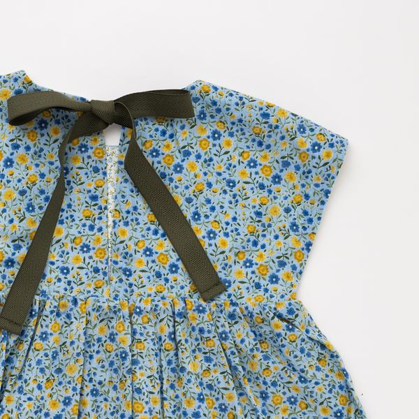 Picnic Dress in Prairie Garden