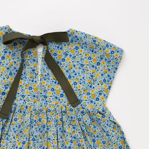 Picnic Dress in Prairie Garden