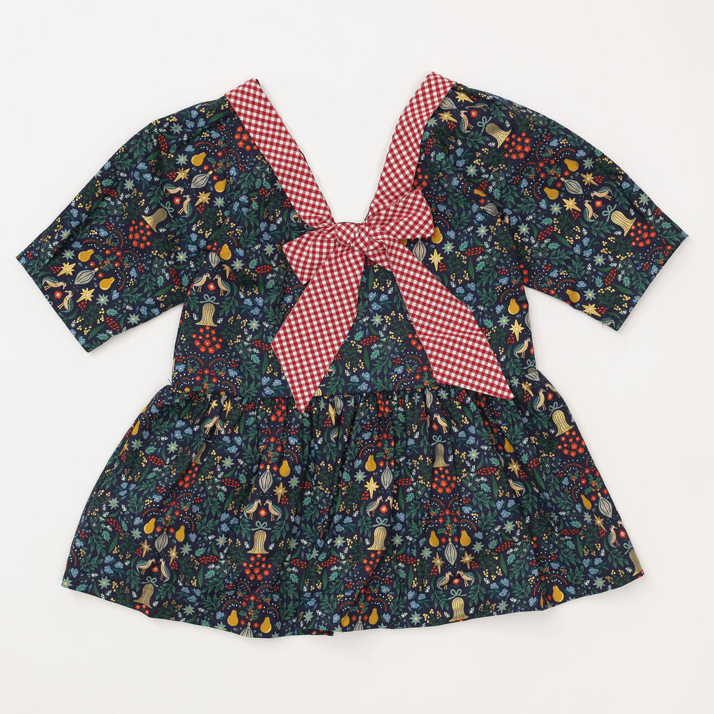 Celebration Dress in Noel