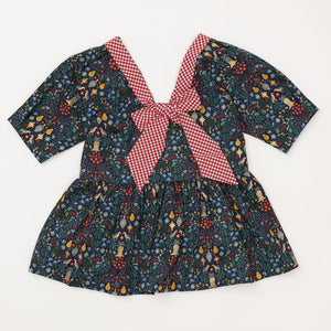 Celebration Dress in Noel