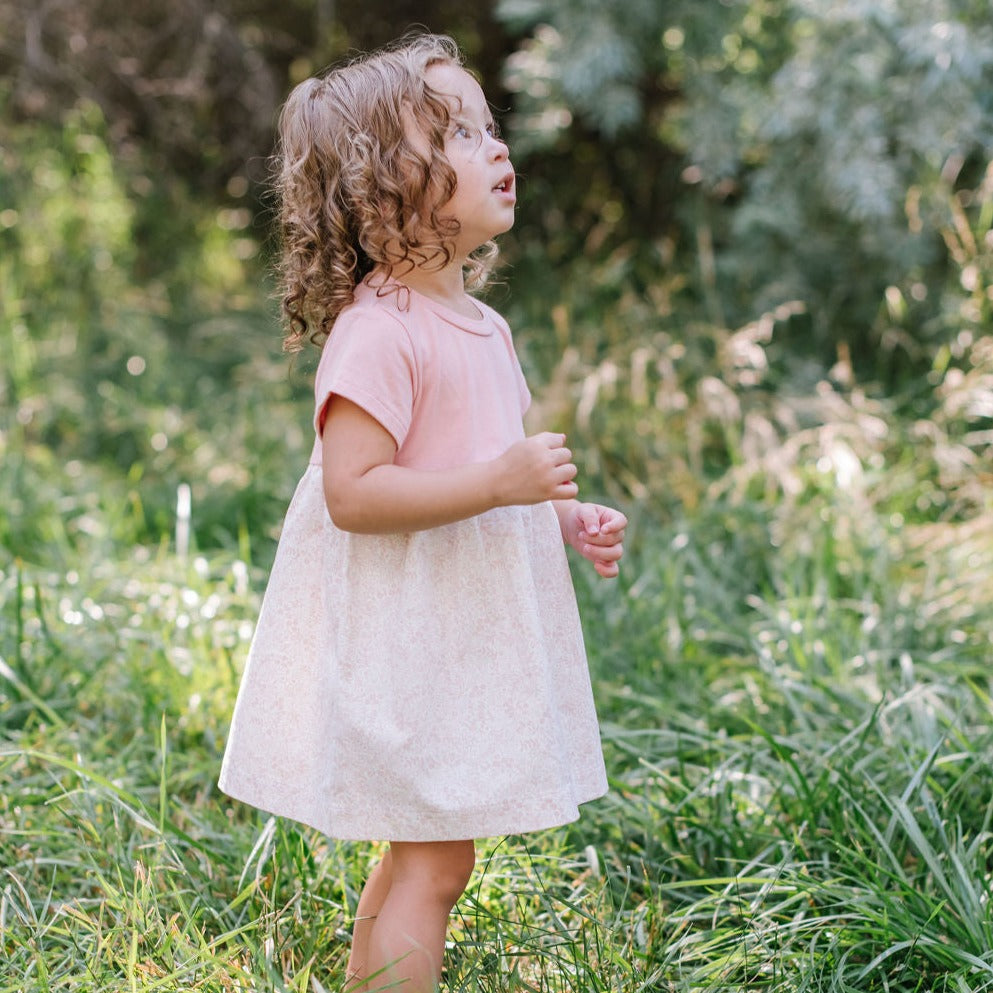 Playground Dress in Rose Garden