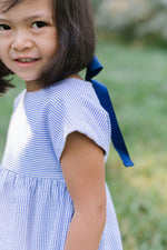 Load image into Gallery viewer, Picnic Dress in Azure Seersucker
